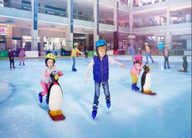 Ice Rink Dubai Tour by Instasky Tourism